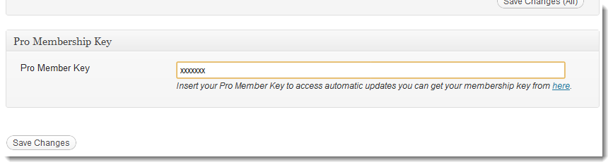 A valid entry would show a normal gray pane with your key.